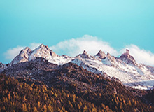 U球体育直播-港脚加盟海港，第一天来训练，就发现这里水平很高